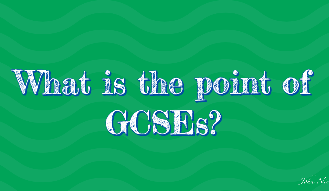 What is the point of GCSEs?